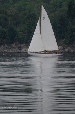 20250731-_Z6K2838.jpg