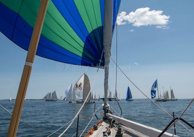 20250801-DSC_8429.jpg