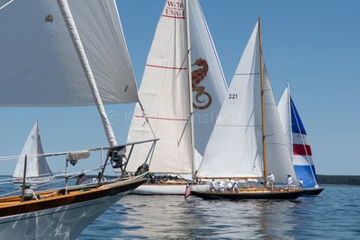 20250801-DSC_8470.jpg