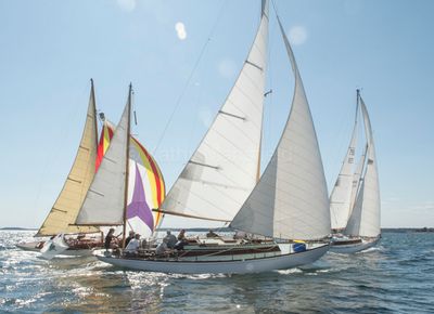 20250801-DSC_8491.jpg