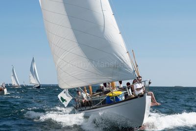 20250801-DSC_8509.jpg