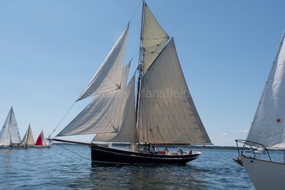 20250801-DSC_8455.jpg