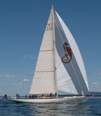 20250801-DSC_8467.jpg