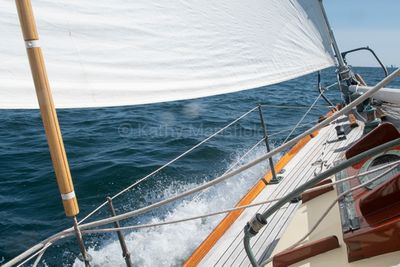 20250801-DSC_8479.jpg