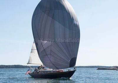 20250801-DSC_8546.jpg
