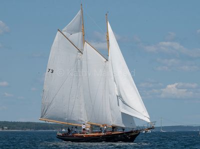 20250802-_Z6K2871.jpg