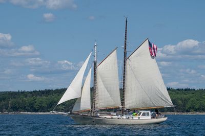 20250802-_Z6K2924.jpg