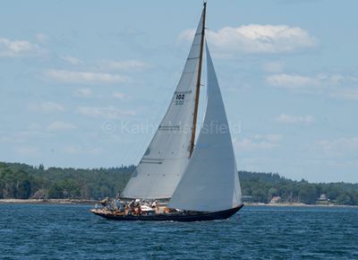 20250802-_Z6K2961.jpg