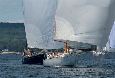 20250802-_Z6K2974.jpg