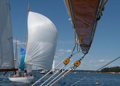 20250801-DSC_8425.jpg