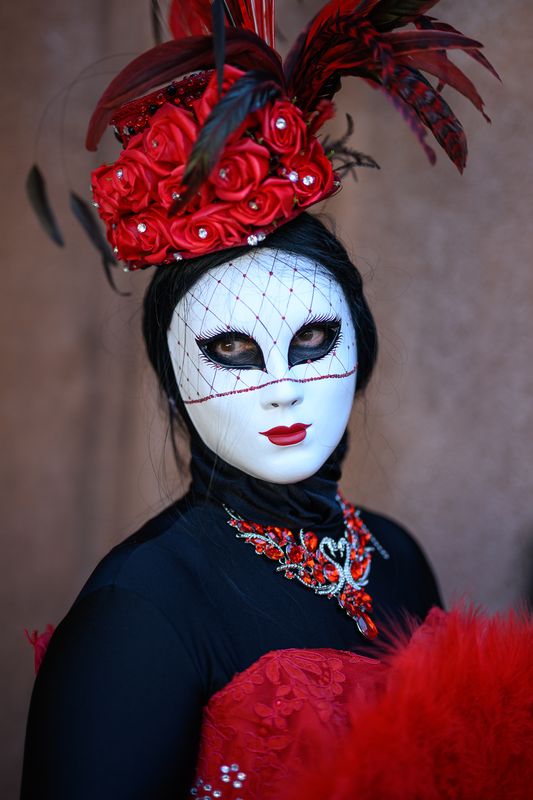 DSC_0534.jpg
