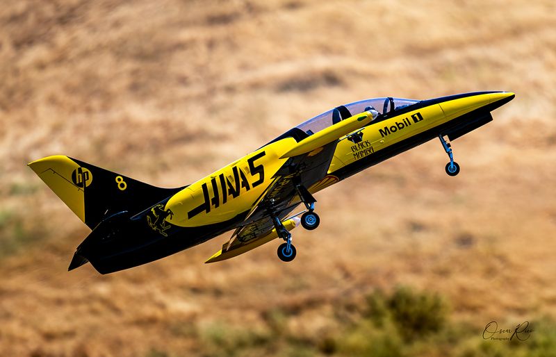 Taking Off_ Model Jet Aircraft.jpg
