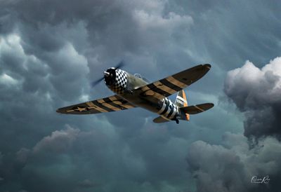 P-47D_ Scale Model_ Warbird.jpg