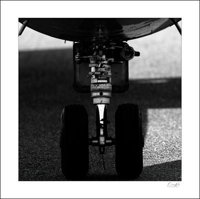 Nose Landing Gear.jpg