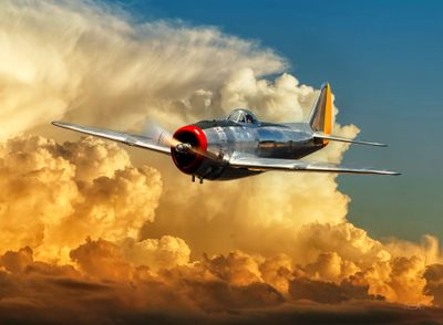 P-47 Thunderbolt - Model Aircraft.jpg