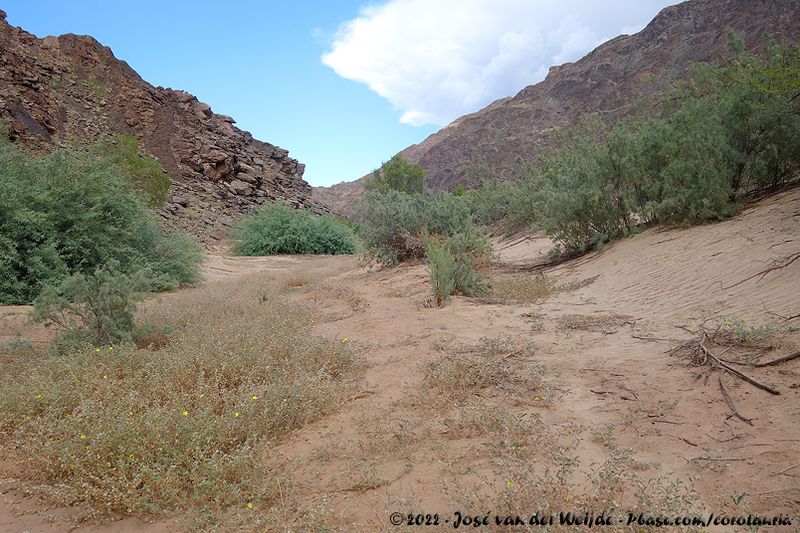 Dry River Bed