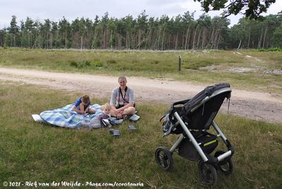 Summer Picknick