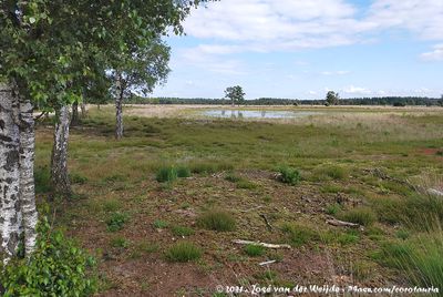 Strabrechtse Heide