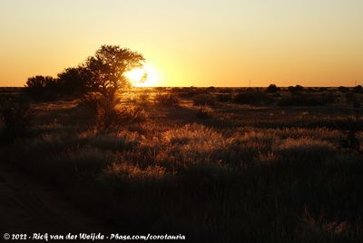 The Visited Places of Namibia