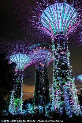 Singapore, 14-16 August 2023