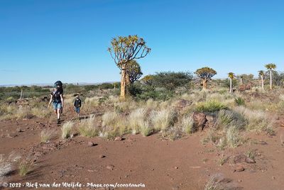 Jos, Guus and Rens exploring the Quivertree Forest