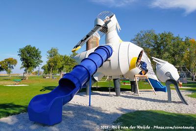 Spoonbills at a children's playground