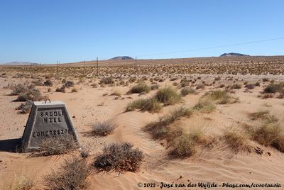 Barlow's Lark Habitat