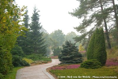 Rainy Vogelpark Marlow