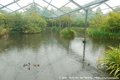 Vorpommersche Boddenlandschaft Exhibit