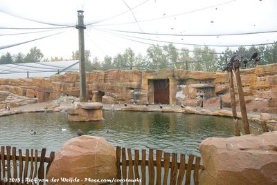 GER: Marlow - Vogelpark Marlow