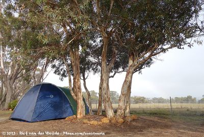 Camping at Stirling Range