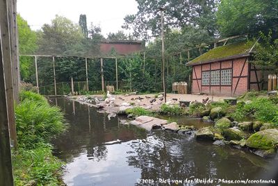 Seabird Exhibit