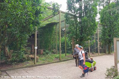 Birds of Prey exhibit