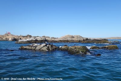 Namibian coastline