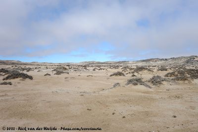 Desert in Lüderitz' Große Bucht