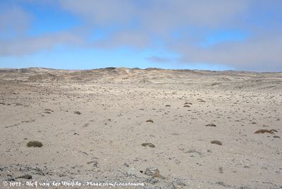 Desert in Lüderitz' Große Bucht