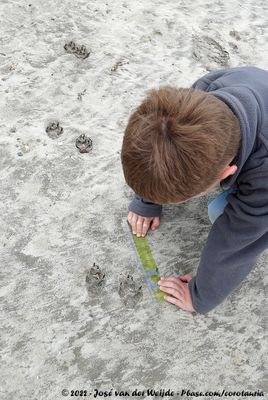 Young Tracker