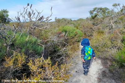 Guus at Quaalup Nature Walk