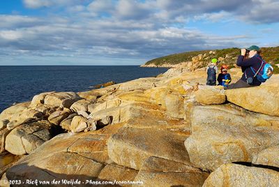 Whale Watchers