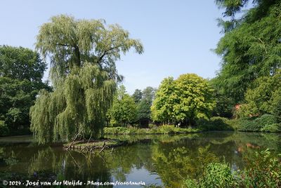 Kranichsee