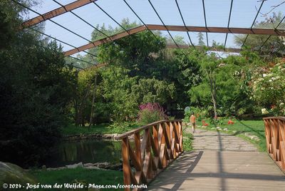 (Rens im) Freiflughalle