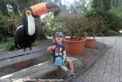 Guus im Weltvogelpark