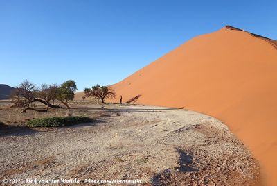 The Dune at Marais's Point