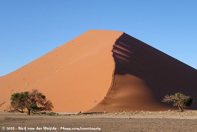The Dune at Marais's Point