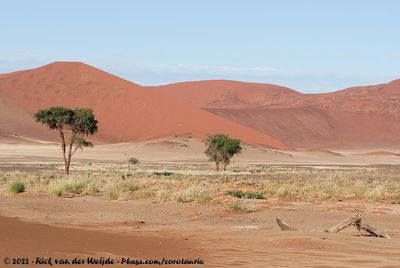 The Namib Desert