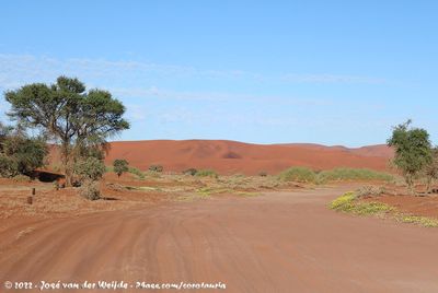 Sandy road to the Sossusvlei