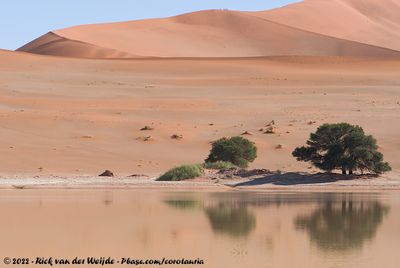 Water-filled Sossusvlei