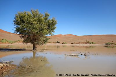 Water-filled Sossusvlei