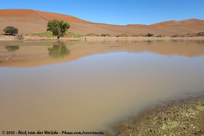Water-filled Sossusvlei