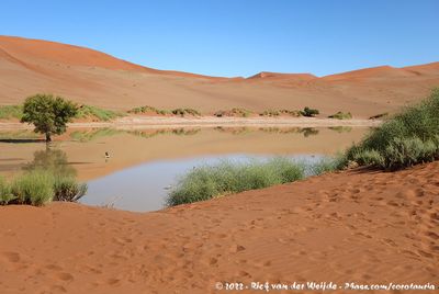 Water-filled Sossusvlei